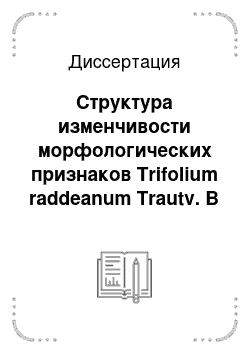 Диссертация: Структура изменчивости морфологических признаков Trifolium raddeanum Trautv. В природных популяциях