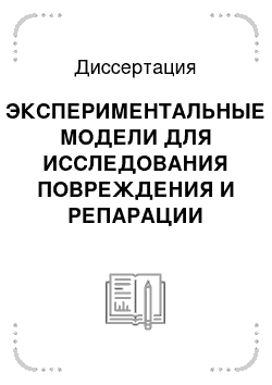 Диссертация: ЭКСПЕРИМЕНТАЛЬНЫЕ МОДЕЛИ ДЛЯ ИССЛЕДОВАНИЯ ПОВРЕЖДЕНИЯ И РЕПАРАЦИИ СУСТАВНОГО ХРЯЩА СИНОВИАЛЬНЫХ СУСТАВОВ (Экспериментальное исследование)