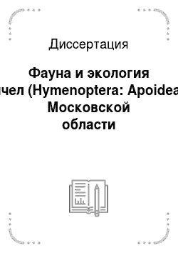 Диссертация: Фауна и экология пчел (Hymenoptera: Apoidea) Московской области