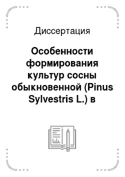 Диссертация: Особенности формирования культур сосны обыкновенной (Pinus Sylvestris L.) в южнотаежной подзоне Иркутской области