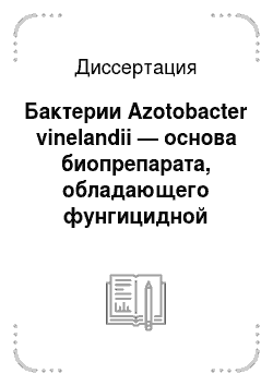 Диссертация: Бактерии Azotobacter vinelandii — основа биопрепарата, обладающего фунгицидной активностью