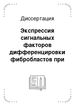 Диссертация: Экспрессия сигнальных факторов дифференцировки фибробластов при старении и возраст-ассоциированных опухолях предстательной железы