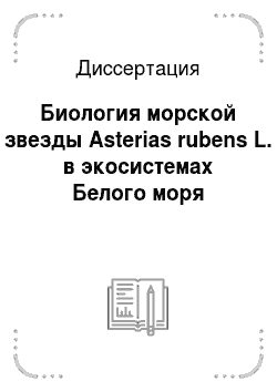 Диссертация: Биология морской звезды Asterias rubens L. в экосистемах Белого моря
