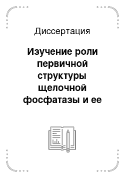 Диссертация: Изучение роли первичной структуры щелочной фосфатазы и ее секреция через цитоплазматическую мембрану Escherichia coli