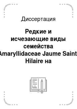Диссертация: Редкие и исчезающие виды семейства Amaryllidaceae Jaume Saint-Hilaire на Черноморском побережье России и стратегия их сохранения