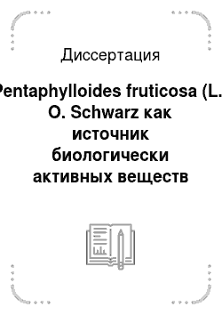 Диссертация: Pentaphylloides fruticosa (L.) O. Schwarz как источник биологически активных веществ для пищевой и медицинской промышленности