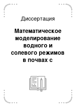 Диссертация: Математическое моделирование водного и солевого режимов в почвах с фрактальной организацией