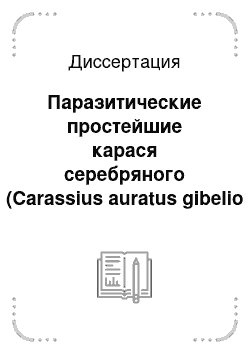 Диссертация: Паразитические простейшие карася серебряного (Carassius auratus gibelio Bloch) из водоемов бассейна реки Иртыш в пределах Омской области
