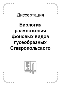 Диссертация: Биология размножения фоновых видов гусеобразных Ставропольского края