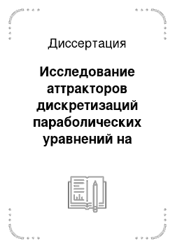 Диссертация: Исследование аттракторов дискретизаций параболических уравнений на неограниченных областях