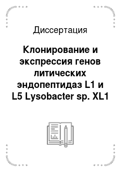 Диссертация: Клонирование и экспрессия генов литических эндопептидаз L1 и L5 Lysobacter sp. XL1