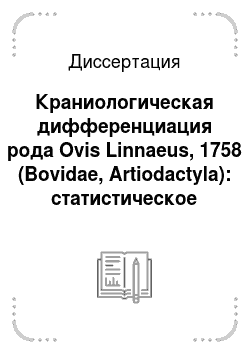 Диссертация: Краниологическая дифференциация рода Ovis Linnaeus, 1758 (Bovidae, Artiodactyla): статистическое обоснование уровней морфологического сходства