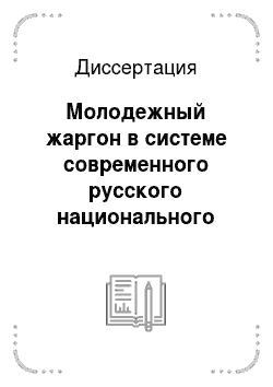 Диссертация: Молодежный жаргон в системе современного русского национального (общенародного) языка