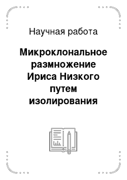 Научная работа: Микроклональное размножение Ириса Низкого путем изолирования зародыша как способ сохранения вида