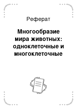 Реферат: Многообразие мира животных: одноклеточные и многоклеточные