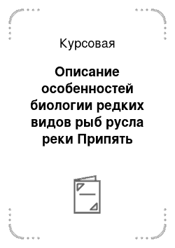 Курсовая: Описание особенностей биологии редких видов рыб русла реки Припять