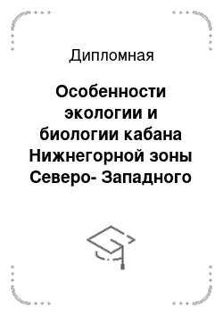 Дипломная: Особенности экологии и биологии кабана Нижнегорной зоны Северо-Западного Кавказа