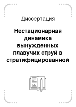 Диссертация: Нестационарная динамика вынужденных плавучих струй в стратифицированной жидкости