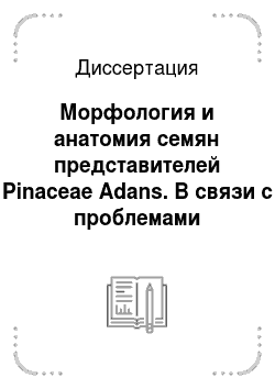 Диссертация: Морфология и анатомия семян представителей Pinaceae Adans. В связи с проблемами систематики семейства