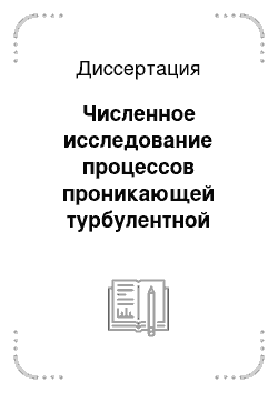 Диссертация: Численное исследование процессов проникающей турбулентной конвекции в атмосфере и водоеме с учетом массоэнергообмена через поверхность раздела