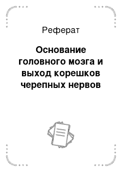 Реферат: Основание головного мозга и выход корешков черепных нервов