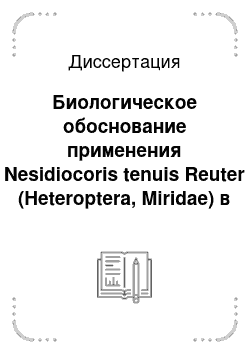 Диссертация: Биологическое обоснование применения Nesidiocoris tenuis Reuter (Heteroptera, Miridae) в качестве энтомофага вредителей овощных культур в защищенном грунте