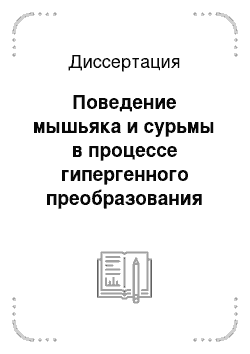 Диссертация: Поведение мышьяка и сурьмы в процессе гипергенного преобразования отходов цианирования золото-арсенопирит-кварцевых руд