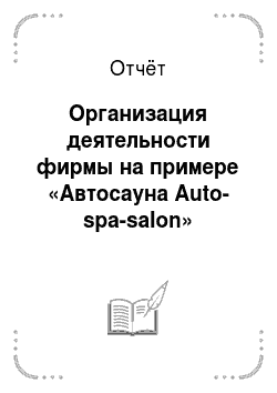 Отчёт: Организация деятельности фирмы на примере «Автосауна Auto-spa-salon»