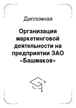 Дипломная: Организация маркетинговой деятельности на предприятии ЗАО «Башмаков»