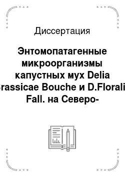 Диссертация: Энтомопатагенные микроорганизмы капустных мух Delia Brassicae Bouche и D.Floralis Fall. на Северо-Западе Нечерноземной зоны