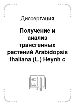 Диссертация: Получение и анализ трансгенных растений Arabidopsis thaliana (L.) Heynh с повышенной экспрессией генов