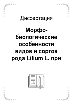 Диссертация: Морфо-биологические особенности видов и сортов рода Lilium L. при интродукции и выгонке в Белгородской области