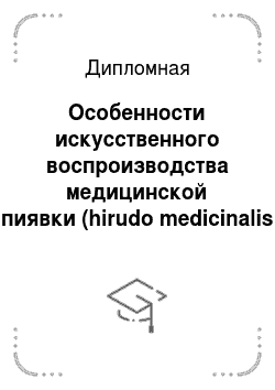 Дипломная: Особенности искусственного воспроизводства медицинской пиявки (hirudo medicinalis l.) в различных вариантах содержания маток