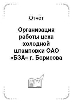 Отчёт: Организация работы цеха холодной штамповки ОАО «БЗА» г. Борисова
