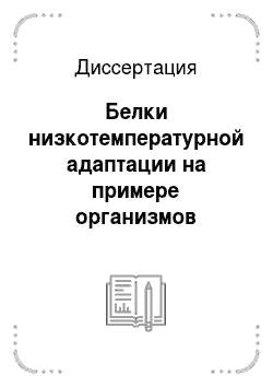 Диссертация: Белки низкотемпературной адаптации на примере организмов Байкальского региона