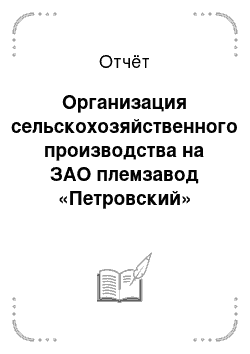 Отчёт: Организация сельскохозяйственного производства на ЗАО племзавод «Петровский»