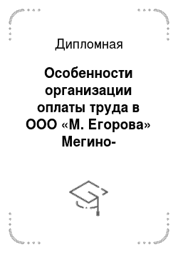 Дипломная: Особенности организации оплаты труда в ООО «М. Егорова» Мегино-Кангаласского улуса