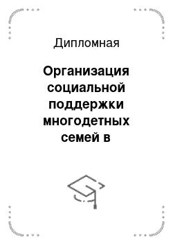 Дипломная: Организация социальной поддержки многодетных семей в Нижнекамском муниципальном районе