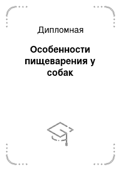 Дипломная: Особенности пищеварения у собак