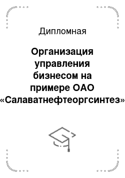 Дипломная: Организация управления бизнесом на примере ОАО «Салаватнефтеоргсинтез»