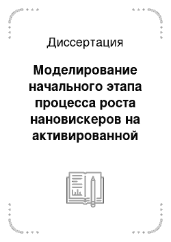 Диссертация: Моделирование начального этапа процесса роста нановискеров на активированной подложке