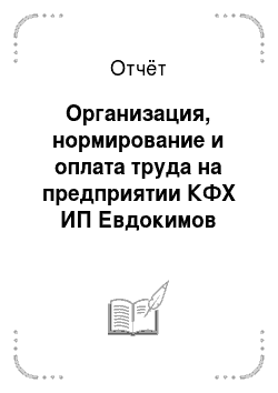 Отчёт: Организация, нормирование и оплата труда на предприятии КФХ ИП Евдокимов