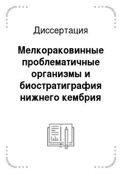 Диссертация: Мелкораковинные проблематичные организмы и биостратиграфия нижнего кембрия юго-восточной части Сибирской платформы