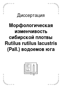 Диссертация: Морфологическая изменчивость сибирской плотвы Rutilus rutilus lacustris (Pall.) водоемов юга Западной Сибири