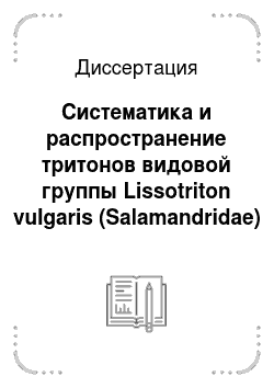 Диссертация: Систематика и распространение тритонов видовой группы Lissotriton vulgaris (Salamandridae)