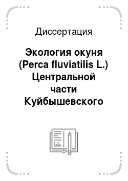 Диссертация: Экология окуня (Perca fluviatilis L.) Центральной части Куйбышевского водохранилища