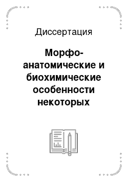 Диссертация: Морфо-анатомические и биохимические особенности некоторых представителей семейства Asteraceae Dumort. в условиях Белгородской области