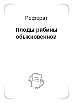 Реферат: Плоды рябины обыкновенной