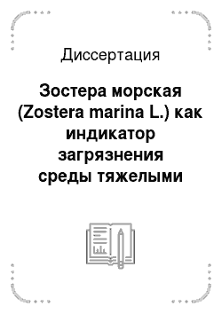Диссертация: Зостера морская (Zostera marina L.) как индикатор загрязнения среды тяжелыми металлами