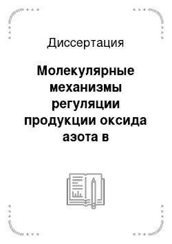 Диссертация: Молекулярные механизмы регуляции продукции оксида азота в эпителиальных клетках мочевого пузыря лягушки